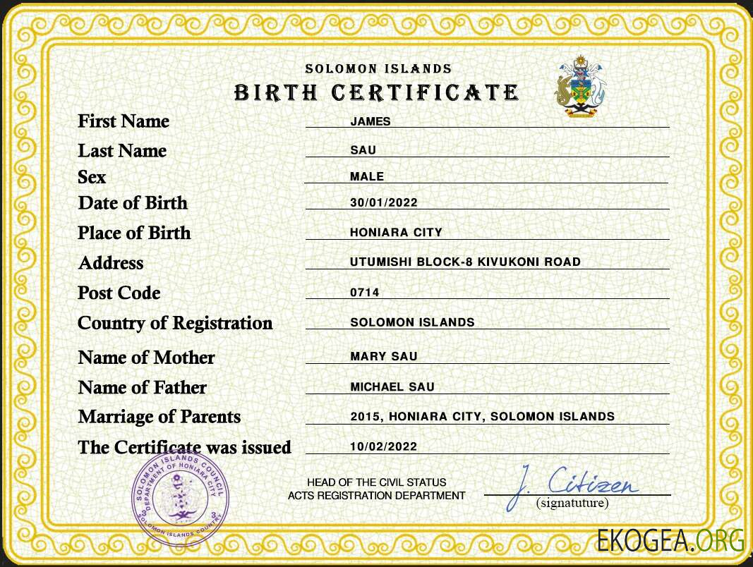 Modèle PSD de certificat de naissance de l'état civil de Salomon